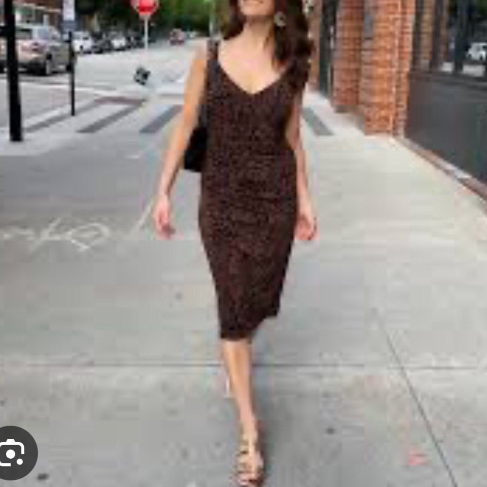 Astr Leopard Print Midi Dress
